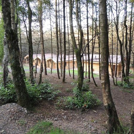 Wyldwood Lodge Cheadle  Exteriér fotografie