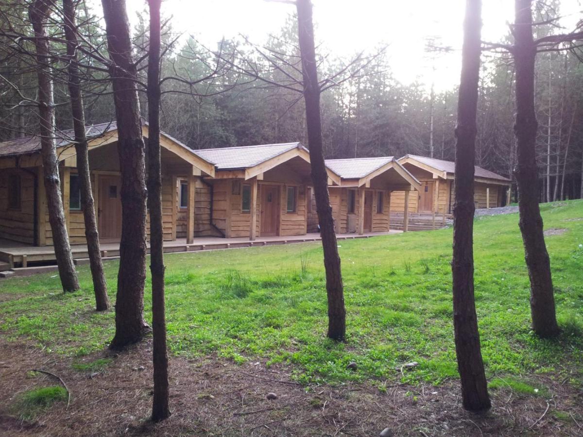 Wyldwood Lodge Cheadle  Exteriér fotografie