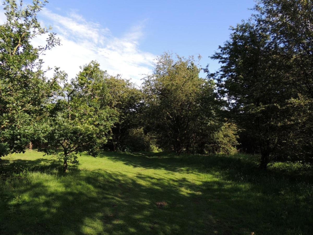 Wyldwood Lodge Cheadle  Exteriér fotografie